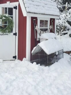 Chicken Wire Crop Coop 24 Chicken Wire Crop Coop -Garden Pro Shop 8609080 03IN tif