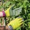 Garden Works Artisan™ Gloves -Garden Pro Shop 8609445 0364 tif