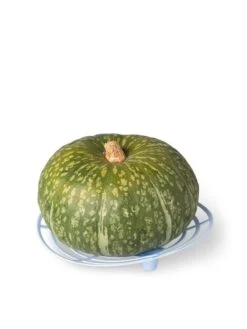 Melon And Squash Cradles, Set Of 6 8 Melon And Squash Cradles, Set Of 6 -Garden Pro Shop 8609464 5204 tif