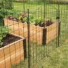 6 Panel Critter Fence With Gate -Garden Pro Shop 8609844 8458 6 panel critter fence with gate 3 4