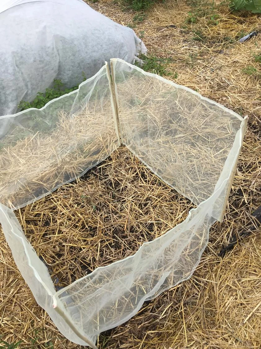 Wind Screen 4 Wind Screen - Image 2