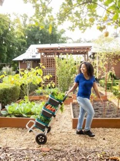 Mod Hod Trolley With Teal Mod Hods -Garden Pro Shop 8610240 0070 tif