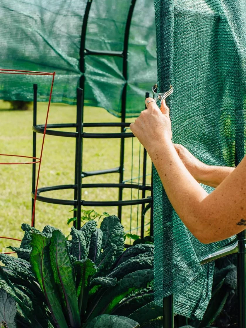 Maxi Garden Hoops With Clips 7 Maxi Garden Hoops With Clips - Image 5