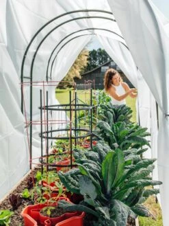 Maxi Garden Hoops With Clips 13 Maxi Garden Hoops With Clips -Garden Pro Shop 8610373 377 tif