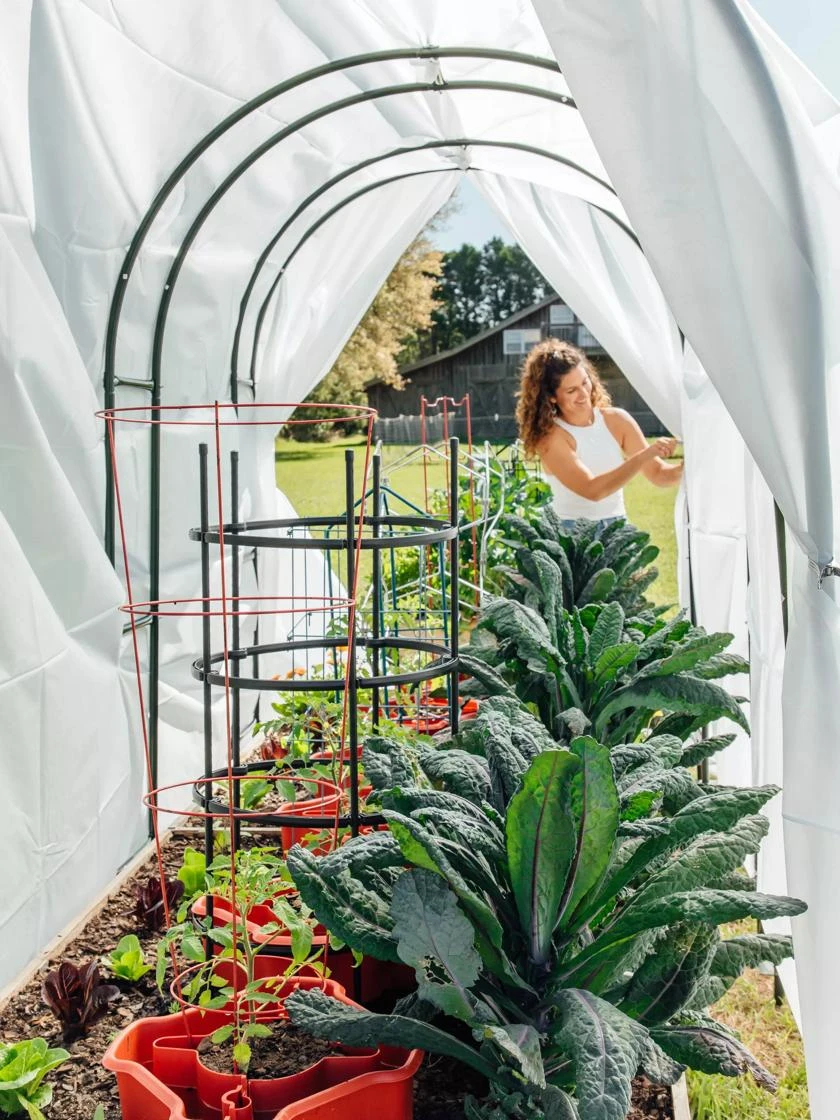 Maxi Garden Hoops With Clips 6 Maxi Garden Hoops With Clips - Image 4