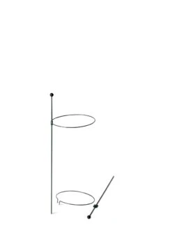 Peacock Mini Plant Support Rings 8", Set Of 2 -Garden Pro Shop 8610387 9571 tif