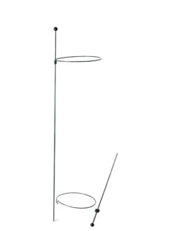 Peacock Mini Plant Support Rings 8", Set Of 2 -Garden Pro Shop 8610388 9565 tif