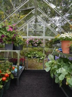 Canopia® By Palram Harmony™ Greenhouse, 6' X 14' -Garden Pro Shop 8610563 03V jpg