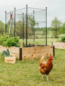 Tall Chicken Wire Critter Fence With Gate -Garden Pro Shop 8611020 316 tif