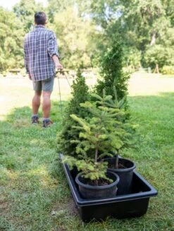 Gardener's Summer Sled And Cover -Garden Pro Shop 8611044 229 tif