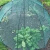 GardenSkill Pop N Crop Plant Umbrella -Garden Pro Shop 8611105 01V tif