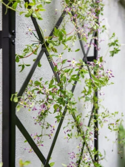 Lattice Gable Wall Trellis -Garden Pro Shop 8611130 011