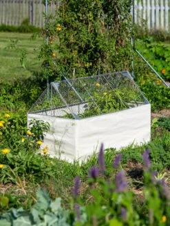 Crop Coop Covers Set -Garden Pro Shop 8611698 005 tif