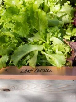 Re-Markable Raised Bed Trim -Garden Pro Shop 8611757 326 tif