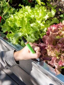 Re-Markable Raised Bed Trim -Garden Pro Shop 8611758 301 tif