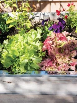 Re-Markable Raised Bed Trim -Garden Pro Shop 8611758 306 tif