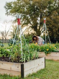 DIY Connector For Teepee Trellis 21 DIY Connector For Teepee Trellis -Garden Pro Shop 8611896 38 tif