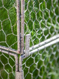 Chicken Wire Crop Coop Extension -Garden Pro Shop 8611940 232 tif