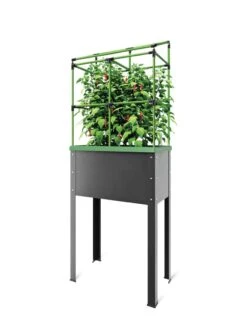 City Jungle® Heidelberg Tomato Trellis