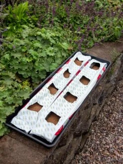 Berry Blend Coir Grow Bag, Set Of 2 -Garden Pro Shop 8611968 361 tif