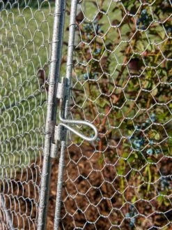 Chicken Wire Super Dome -Garden Pro Shop 8611977 017 tif