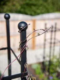 Essex Square Obelisk 12 Essex Square Obelisk -Garden Pro Shop 8611984 278 tif