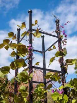 Essex Square Obelisk 10 Essex Square Obelisk -Garden Pro Shop 8611984 354 tif