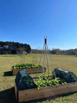 Insect And Pest Net Row Protector 11 Insect And Pest Net Row Protector -Garden Pro Shop 8611985 04 tif