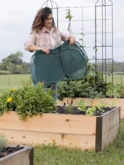 Insect And Pest Net Row Protector 12 Insect And Pest Net Row Protector -Garden Pro Shop 8611985 8389 tif