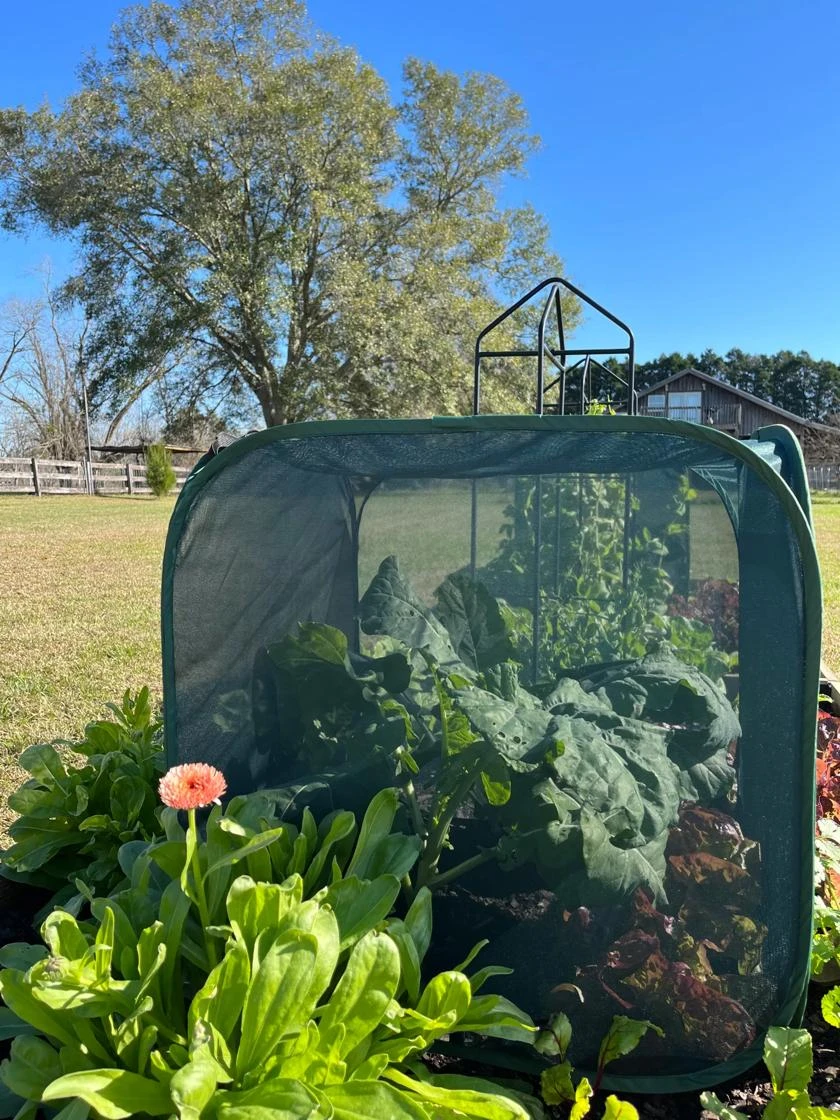 Pest Control Pop-Ups 4 Pest Control Pop-Ups - Image 2