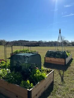 Pest Control Pop-Ups 15 Pest Control Pop-Ups -Garden Pro Shop 8611989 05 tif