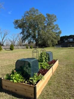 Pest Control Pop-Ups 14 Pest Control Pop-Ups -Garden Pro Shop 8611989 08 tif