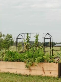 Zenith Trellis 7 Zenith Trellis -Garden Pro Shop 8612035 549 tif