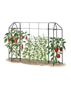 Zenith Trellis 8 Zenith Trellis -Garden Pro Shop 8612035 art tif