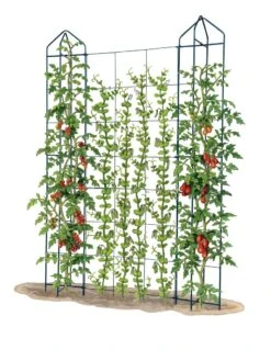 Zenith Trellis 9 Zenith Trellis -Garden Pro Shop 8612036 art tif