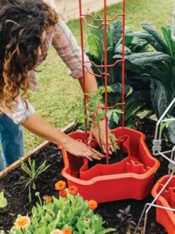 Deluxe Tomato Halos, Set Of 2 -Garden Pro Shop 8612045 135 tif