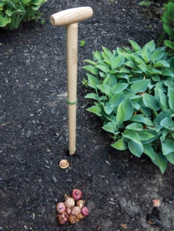 Wicked Big Dibber -Garden Pro Shop 8612667 0028