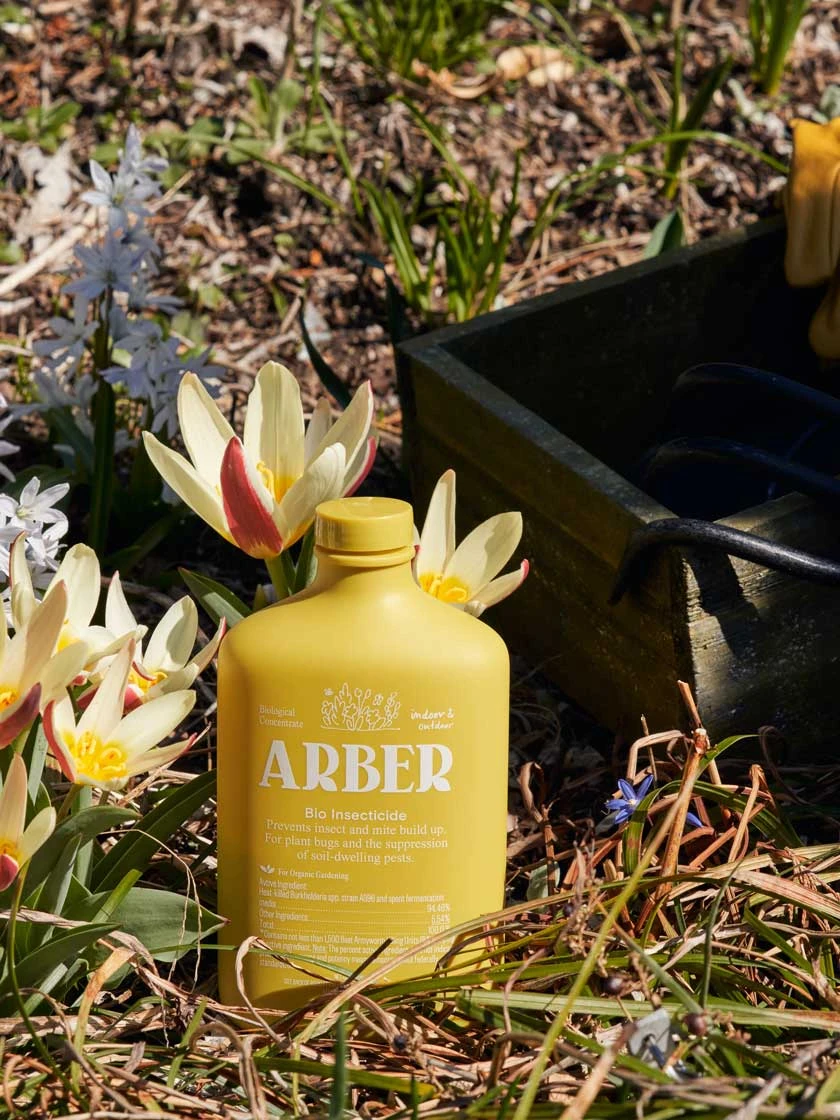 Organic Bio Insecticide Indoor/Outdoor 5 Organic Bio Insecticide Indoor/Outdoor - Image 3