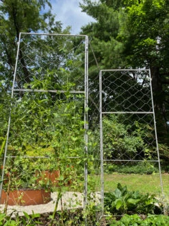 Chicken Wire Pea Trellis -Garden Pro Shop 8612718 7310