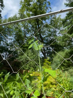 Chicken Wire Pea Trellis -Garden Pro Shop 8612718 7311
