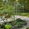 Chicken Wire Pea Trellis 1 Chicken Wire Pea Trellis -Garden Pro Shop 8612718 7313 chicken wire pea trellis