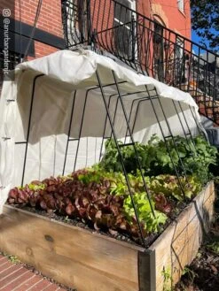 Cotton All Purpose Garden Cover 11 Cotton All Purpose Garden Cover -Garden Pro Shop 8612816 01CUST