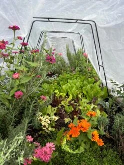 All-Purpose Garden Fabric 14 All-Purpose Garden Fabric -Garden Pro Shop 8612816 01TEST