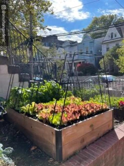 Zenith Garden Hoops, Set Of 4 -Garden Pro Shop 8612816 02CUST