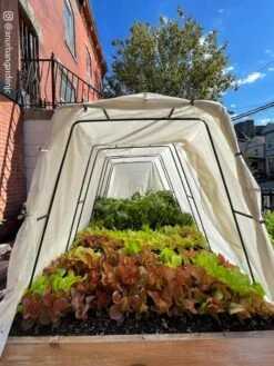 Cotton All Purpose Garden Cover 12 Cotton All Purpose Garden Cover -Garden Pro Shop 8612816 03CUST