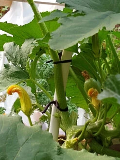 Farmyarn® Multipurpose Garden Tie, 2 Pack -Garden Pro Shop 8612948 01v