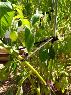 Farmyarn® Multipurpose Garden Tie, 2 Pack -Garden Pro Shop 8612948 02v