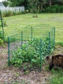 6 Panel Critter Fence With Gate -Garden Pro Shop 8612967 2570 tif