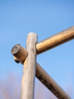 Tomato Six Pack Support -Garden Pro Shop 8613143 0385 2