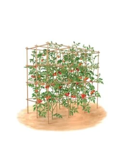 Tomato Six Pack Support -Garden Pro Shop 8613143 art flat